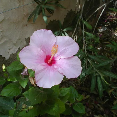 بيت للعطل Casa Familia - Relax