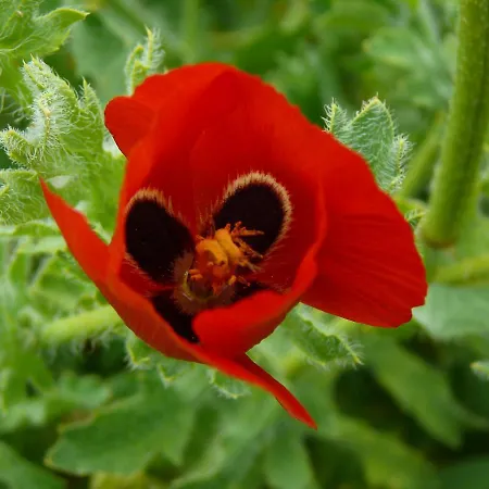 Casa Familia - Relax